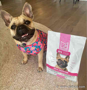 Mud Bay Partnership Increases SquarePet Retail Reach in Pacific Northwest - Pet Age