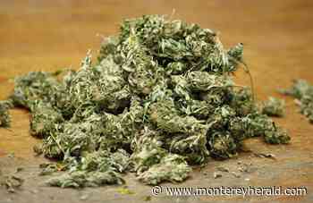 Pacific Grove gives cannabis retail another try - Monterey Herald