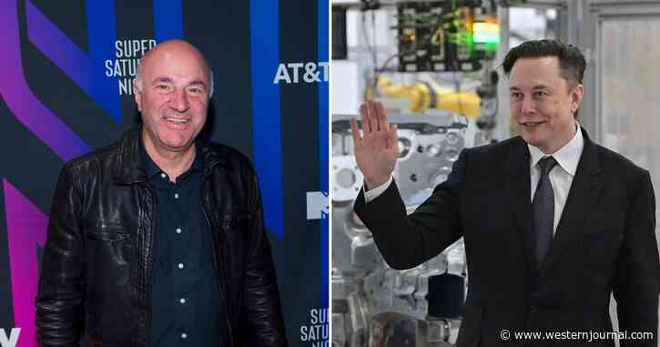 Shark Tank's Kevin O'Leary Backs Musk's Twitter Bid, Calls It 'Dante's Hell,' Says 'Fire' Board Members