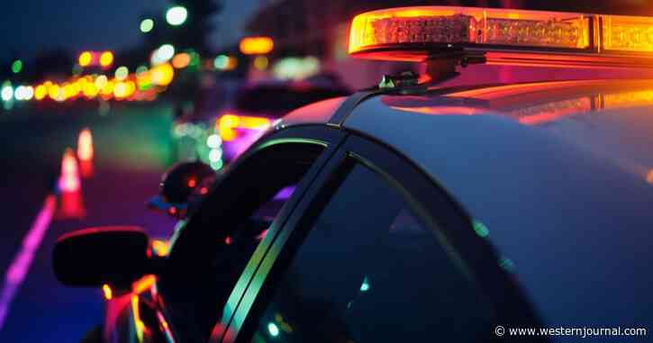 Cop Has Trouble Pulling Car Over; When He Looks Inside, the Reason Becomes Immediately Clear