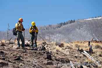 Growing US wildfires 'a very chaotic situation', expert says - St Helens Star