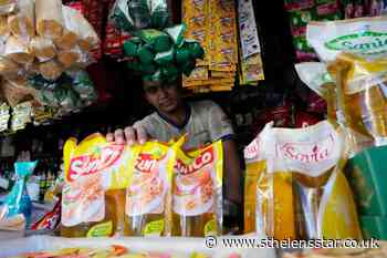 Indonesia to ban exports of cooking oil to reduce shortages - St Helens Star