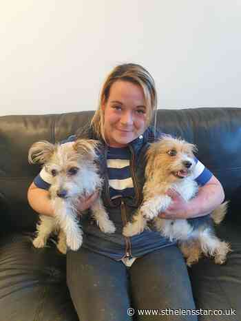 Stolen dogs reunited with owner after theft at Garswood farm - St Helens Star