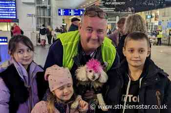 'Punk rocker' poodle puts smiles on faces of Ukrainian refugees - St Helens Star