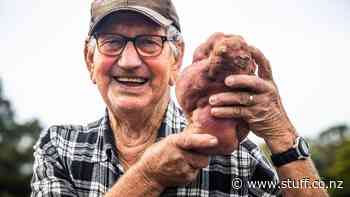 The New Plymouth gardener cultivating smiles for his neighbours - Stuff