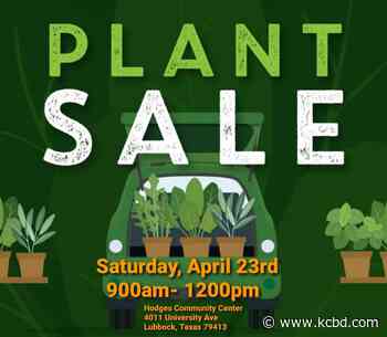 Lubbock Master Gardener Association to host annual Plant Sale - KCBD