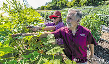 Texas Master Gardener state conference set - Dallas Voice