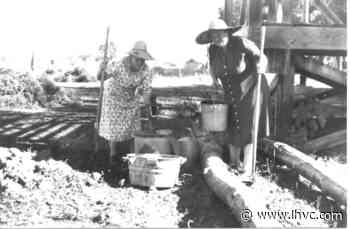 Yesterday's News--A Gardener's Scrapbook - Left Hand Valley Courier