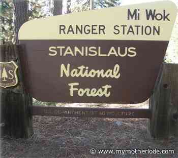 New Grant Fueling Rim Fire Forest Recovery - MyMotherLode.com