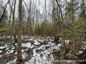 South Glengarry donating 115 cares of forest at two sites to RRCA - Standard Freeholder