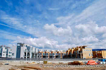 Opinion: Is Penticton losing its urban forest? - Penticton Western News