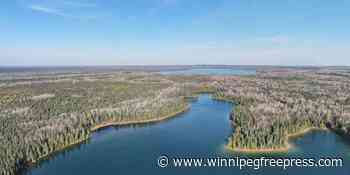 Large tract of boreal forest to be protected - Winnipeg Free Press