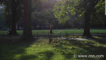 Forest bathing could be the key to feeling better -- and you can even do it at work - CNN