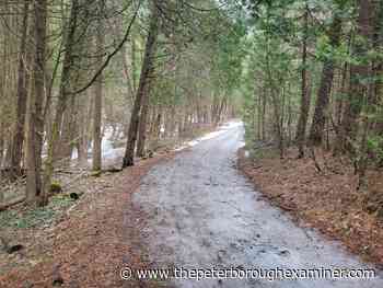 Welcome back to Ganaraska Forest: Here's what's new for 2022 recreational season - The Peterborough Examiner