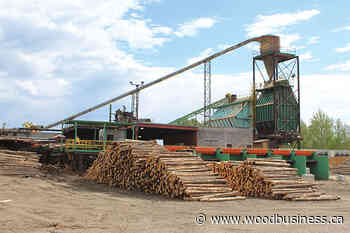 BC's new Vietnam trade office to focus on forest products - Wood Business - Canadian Forest Industries