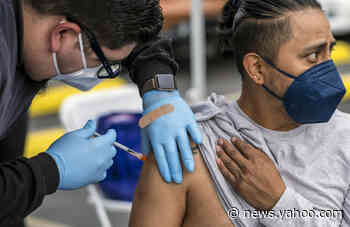 Could there be a universal coronavirus vaccine? Experts discuss the possibilities - Yahoo News