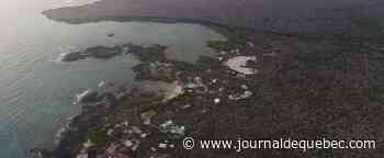 «Nappe de carburant» aux Galapagos après le naufrage d’un bateau