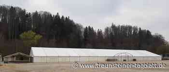 Erste Arbeiten für das Frühlingsfest laufen: Das große Festzelt wurde aufgestellt - Traunsteiner Tagblatt