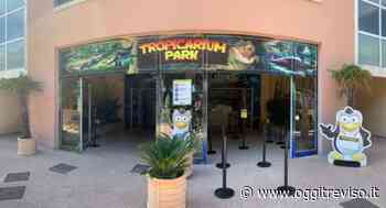 Tropicarium Park di Jesolo pronto a curare gli animali in fuga dai bombardamenti in Ucraina - Oggi Treviso