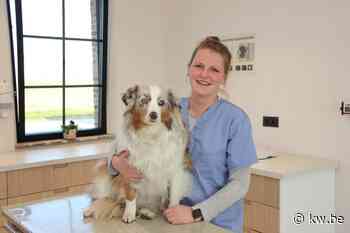 Laura start dierenartsenpraktijk 'De Braamhoek' in Pittem - KW.be