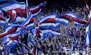 Orsi: «La Sampdoria è in difficoltà tanto quanto Venezia e Genoa» - Samp News 24