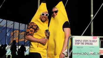 Out of the Woods music festival sees first major acts return to Western Australia after border reopening