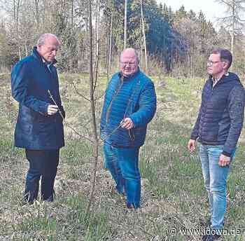 1.500 Bäume - Bei Schierling soll ein neuer Wald entstehen - idowa