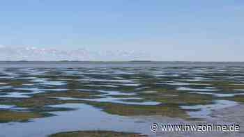 Biosphärenreservat: Varel bleibt weiterhin außen vor - Nordwest-Zeitung
