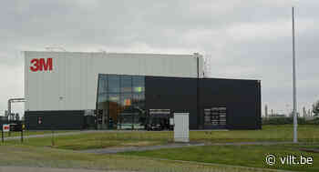 Brandnetels halen PFAS uit de bodem - Vilt