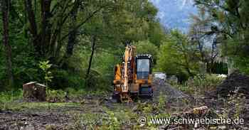 Lindau: Abholzung ohne Genehmigung für Lindauer Therme - Schwäbische