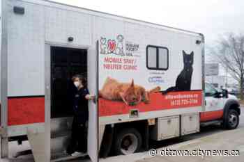 Ottawa Humane Society’s Mobile Spay/Neuter Clinic back on the road after two-year hiatus - Ottawa.CityNews.ca
