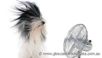 Why do fans sometimes look like they're spinning backwards? - Gloucester Advocate