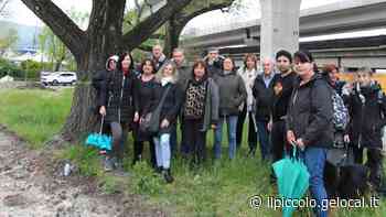 Trieste, la protesta per evitare l’abbattimento degli olmi in Strada della Rosandra - Il Piccolo