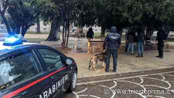 La loro droga arrivava anche a Trieste, 47 narcos rinviati a giudizio - TriestePrima