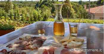 Osmize, dove mangiare sul Carso di Trieste - Corriere della Sera