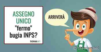 Assegno unico fermo in istruttoria, dal patronato: INPS mente - The Wam