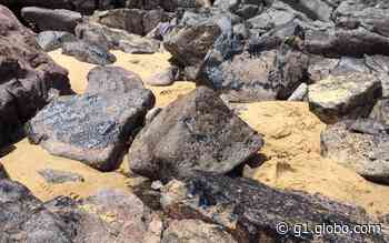 Praias do Cabo de Santo Agostinho voltam a ter registro de óleo - Globo