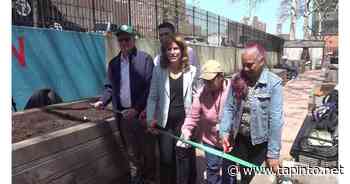 On Earth Day, Community Garden Re-Opens in Council District 5 - TAPinto.net