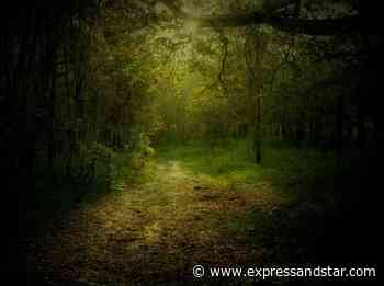 Photographers capture beauty of Sutton Park for Shakespeare competition - Express & Star