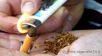 Vigevano: consumano stupefacenti nel parco di via Beatrice d'Este, segnalati undici giovani - Vigevano24.it