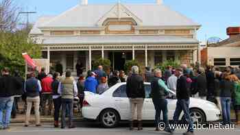 Our overheated property market is 'ripe for the picking' by scammers, who are grabbing millions