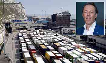 Chief executive of Europe's second largest shipping port Brexit disruption 'better than we expected' - Daily Mail