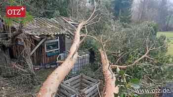 Sturmschäden im Saale-Holzland: Zerstörte Laube, aber kein Ersatz