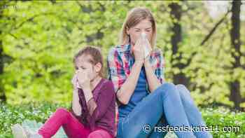 Allina Health allergy specialist on common symptoms, how to find relief
