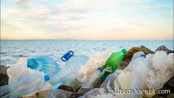 Freshwater Society Adopts a River, Shoreline Cleanup Program