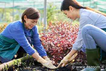 Sono in erba in un programma TV di Discovery - Zazoom Blog