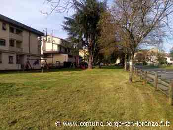 Taglio erba spazi comunali: tempi e modalità | Borgo San Lorenzo - Comune di Borgo San Lorenzo