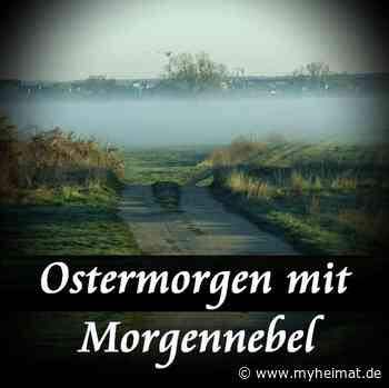 Aufsteigender Bodennebel am Ostermontag 18. April 2022 ! - Lutherstadt Wittenberg - myheimat.de - myheimat.de