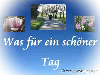 Auch die Ostertage werden schön ! - Lutherstadt Wittenberg - myheimat.de - myheimat.de