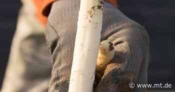 Vom Spargelfeld in die Kaserne: Polnische Erntehelfer befürchten Folgen des Krieges - Mindener Tageblatt